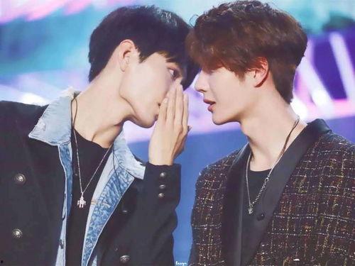 娱乐圈吃瓜cp博君一肖